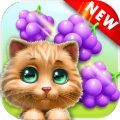 Cat Match Story: Fruit City