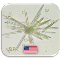 Urinalysis Quiz