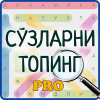 Сўзларни топинг Pro加速器
