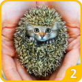 Animal Morph: Hybrid Animals Factory Simulator 2