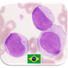 Questionário de Hematologia加速器