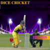 Cricket Dice加速器