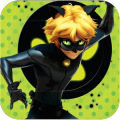 Cat noir Miraculous*加速器