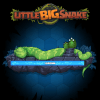 Little Big Snake (.io)加速器