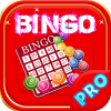 Xmas Bingo Juego Mania加速器