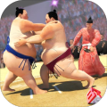 Sumo Wrestling Champions -2K18 Fighting Revolution加速器