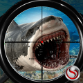 Ultimate Shark Sniper Hunting