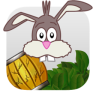 MrBunny
