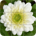 花瓷砖拼图