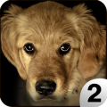 Find a Dog 2 - Hidden Object加速器