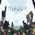 草原Meadow加速器