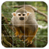 Tile Puzzles · Monkeys