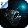 Deep Sea & Ocean Fish Quiz HD加速器