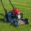 Lawnmower Game加速器