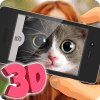 What is your cat? 3D加速器