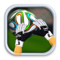 Goalkeeper Challenge - Soccer Fever!