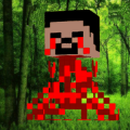 Steve Craft Ragdoll