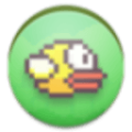 clumsy bird