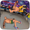 Wrestling WWE Revolution Mayhem Superstar Fighters