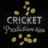 Cricket Prediction Tips