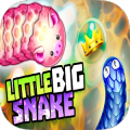 LittleBigSnake.io加速器