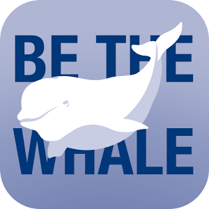 Be the Whale Beluga加速器