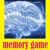 Memory Teaser加速器