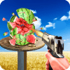 Watermelon Fruit 3D Shoot加速器