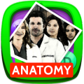 Greys Anatomy Trivia Quiz加速器