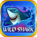 Wild Shark Slot