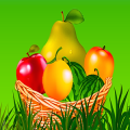 FruitsCatcher - Game For Kids