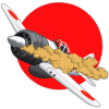 AIR Force Commander
