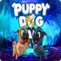 Captain Rolly & bingo:Puppy Dogs Pals