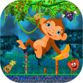 Super Jungle Monkey