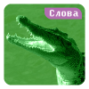 Крокодил
