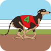 Dog Racing