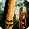The Forest Survival Game