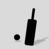 Cricket Game - Sharpen Your Calculative Skill