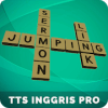 Crossword Pro International Edition加速器
