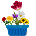 Flower Basket