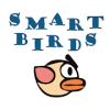 Smart Birds加速器