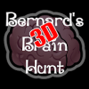 Bernard's 3D Brain Hunt