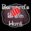 Bernard's 3D Brain Hunt加速器