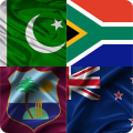 Guess country flag (world hardest game)