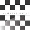 Numbers Race加速器