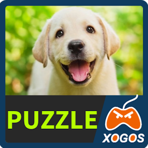 Labrador Retriever Dog Puzzle加速器