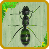 I'm not granny. Im Ant! The Ant King , Rise!