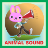 Animal Sound For Kids加速器