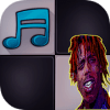 Famous Dex Japon Piano Tiles加速器