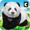 Wild Panda Family Jungle Sim加速器